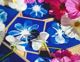 Cyanotype Class_Aime-la-Plagne