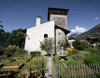 Château Montmayeur et son jardin