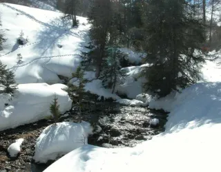 Bief Bovet trail