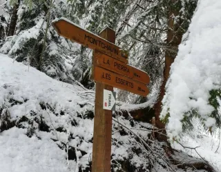 Montchavin-Les Coches via Praz Salvard" snowshoeing itinerary