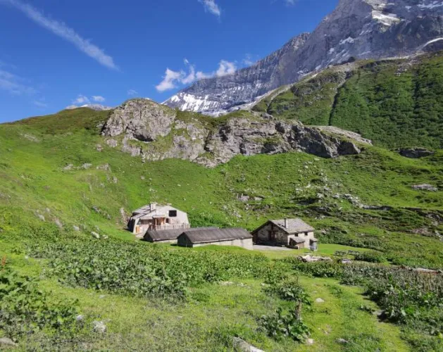 A la découverte des Glaciers