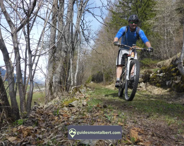 Bureau des Guides La Plagne Montalbert