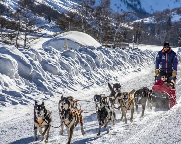 Dog sledding