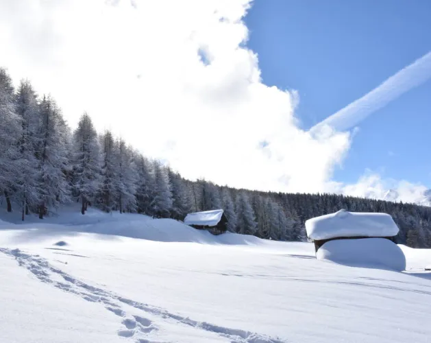 Hiking itinerary : Les Frasses_Montchavin-les-Coches
