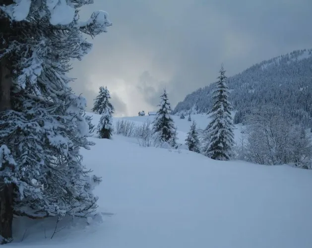 La Vallée des Bauches