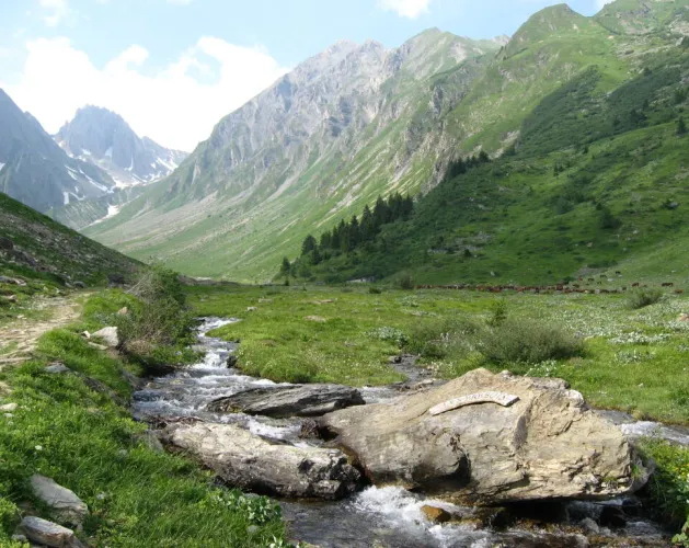 Foran valley, La Plagne valley