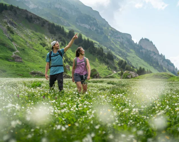 Hiking route : Plateau de Plan Pichu trail_Aime-la-Plagne