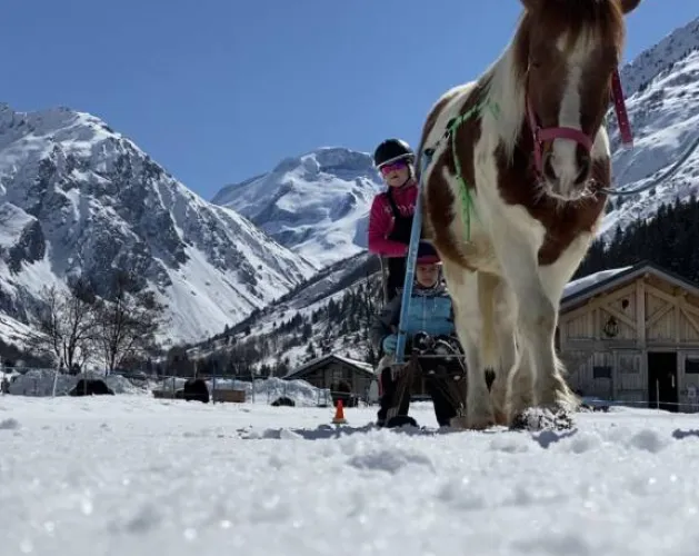 Sled pony