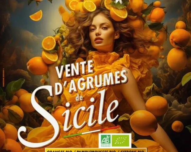 Agrumes bio de Sicile