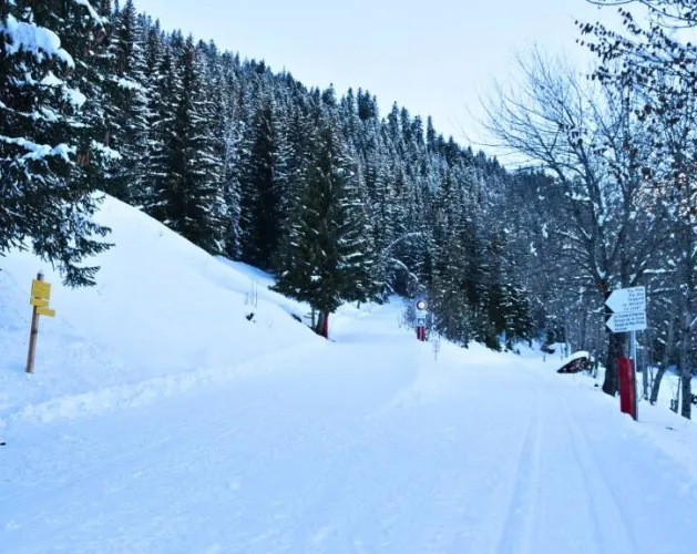 Pra Chanié nordic trails_Aime-la-Plagne