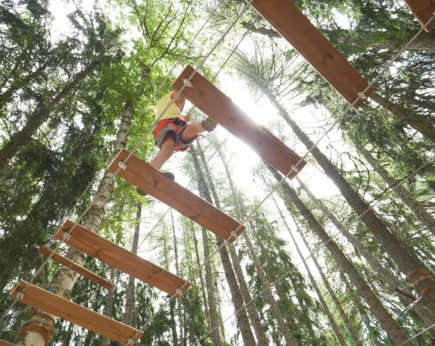 Up & GO Accrobranche