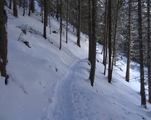Taillette snowshoeing itinerary