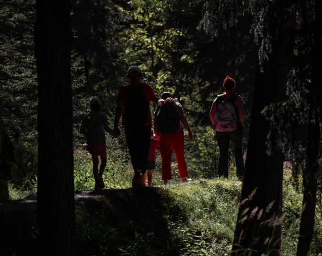 Bois des Fornettes trail