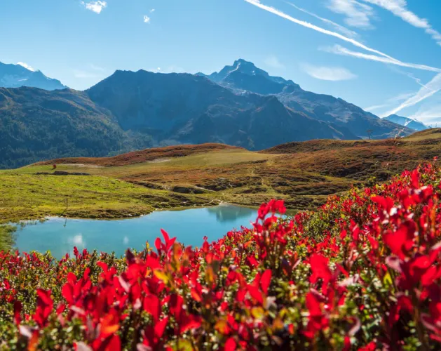 Carroley Lake