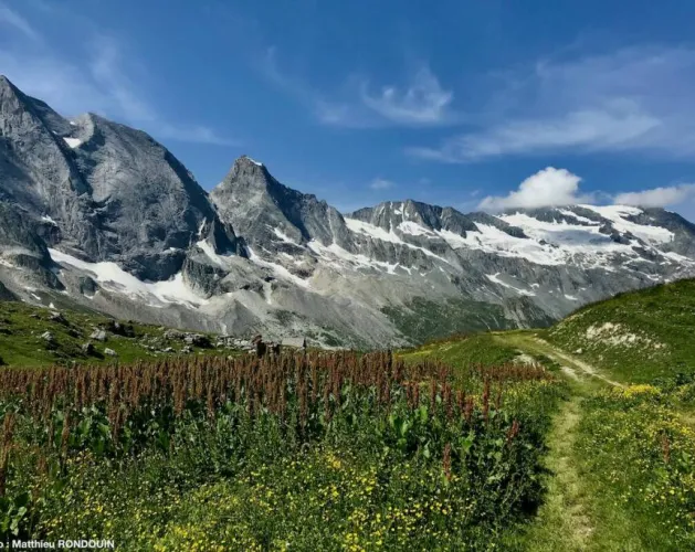 Matthieu RONDOUIN - Moutain guide
