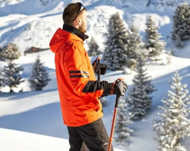 Snowshoes