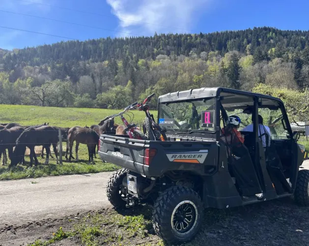Buggy Passenger Ride - ELPRO