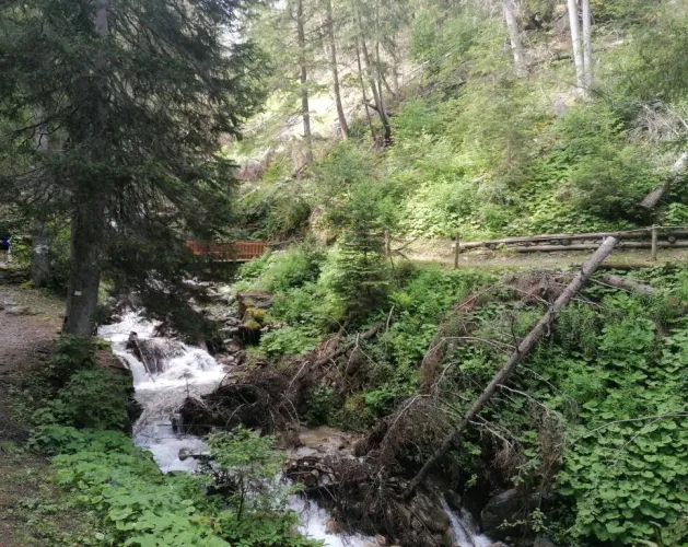 Path going towards La Roche