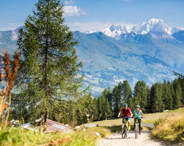 Electric Mountain Biking Tour: Les Frasses
