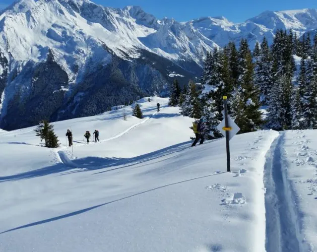 Ski touring
