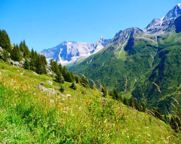 Vue sur les galciers