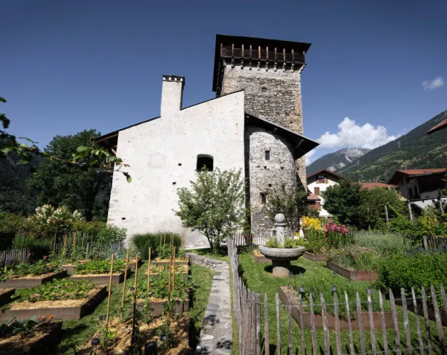 Château Montmayeur et son jardin