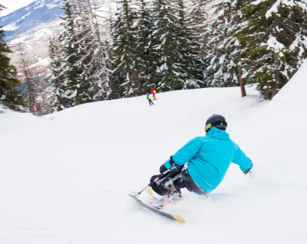 Handiski - Seated Skiing