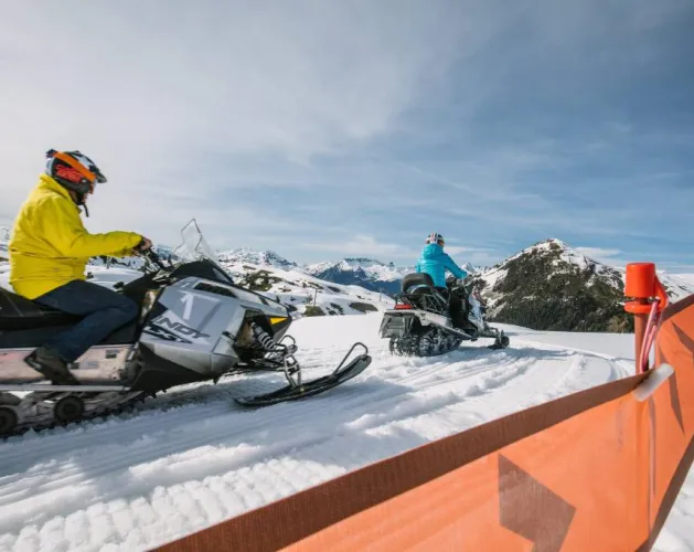 SNOWMOBILE 2022