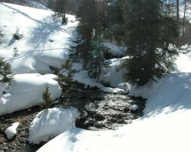 Bief Bovet trail
