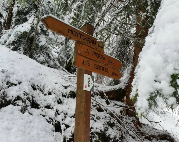 Montchavin-Les Coches via Praz Salvard" snowshoeing itinerary