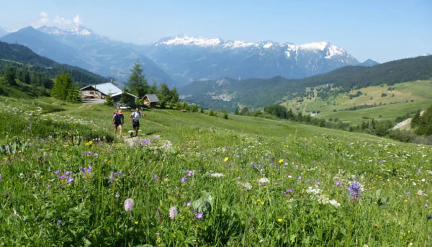 Grand Tour de Tarentaise - Hiking 27 days