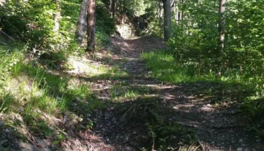 St Marcel footpath, valley of La Plagne