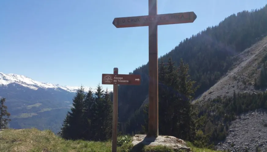 Le Chapieu de Tessens footpath, valley of La Plagne