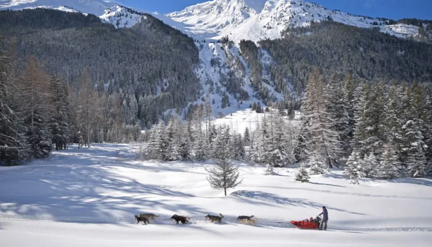 Génération Musher