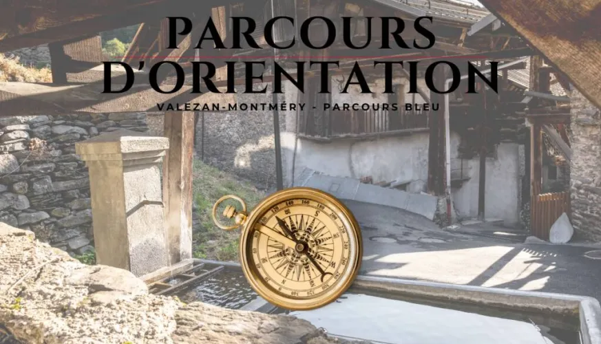 Orienteering course - Valezan Montméry