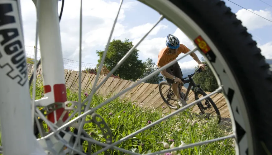 VTT