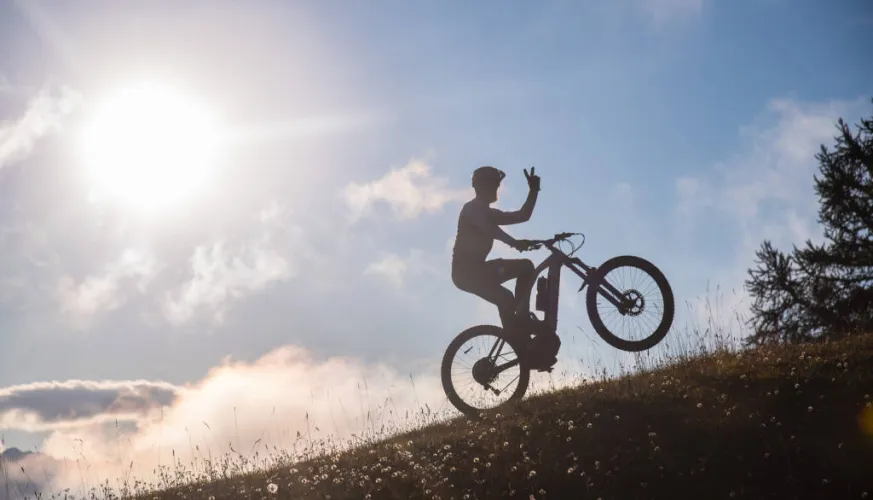 E-mountain bike
