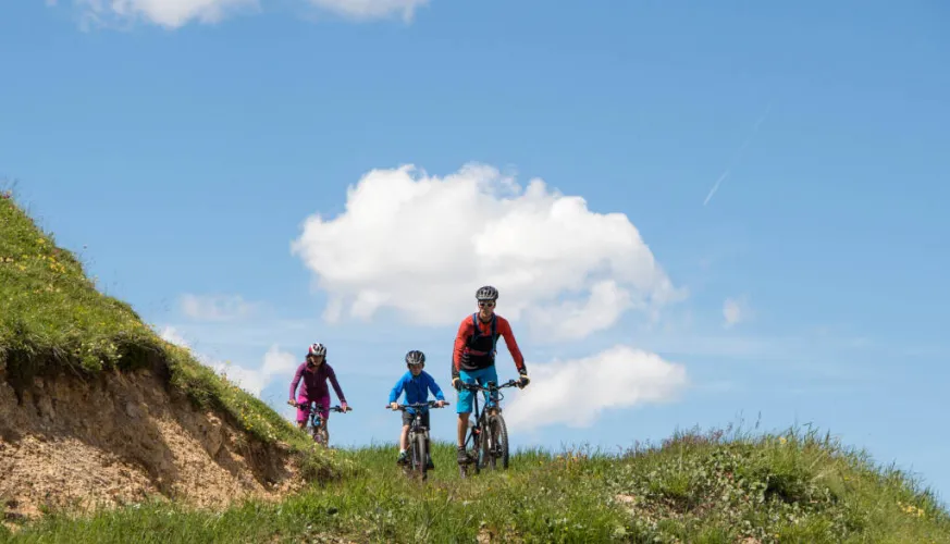 Mountain bike itinerary - La Glière / Chalet du Grand Plan_Champagny-en-Vanoise