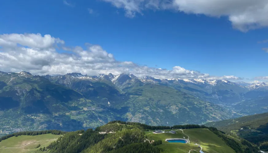 view