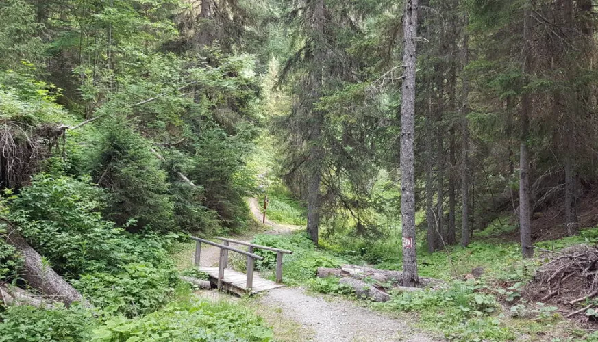 Rocher du Glaisy trail