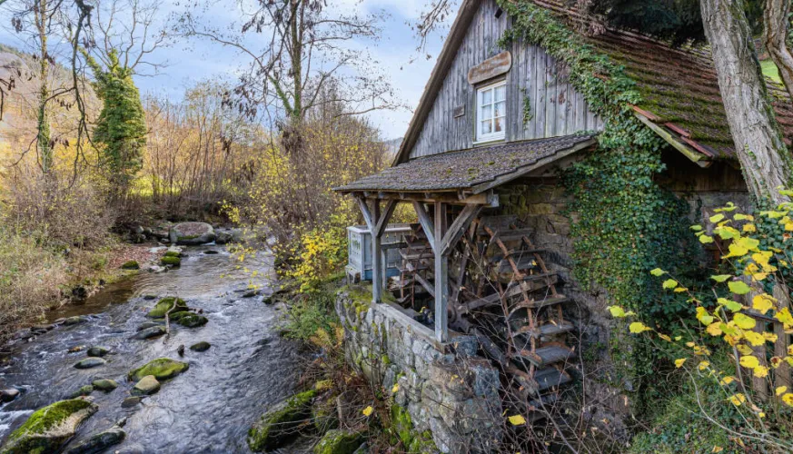 I love summer in La Côte d'Aime | Tour of the watermill at Pierrolaz_La Plagne Tarentaise