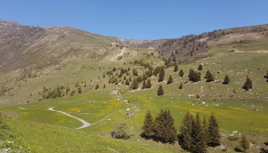 Foran valley