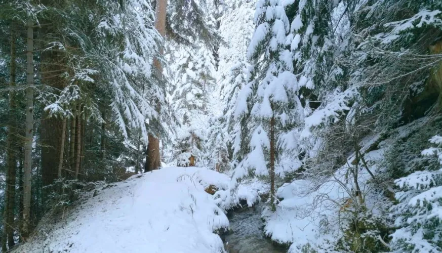 Snowshoe / hiking trail - Le Grand Bief_Aime-la-Plagne