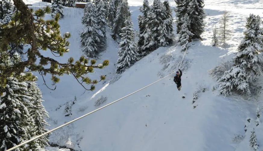 Trio of Giant Ziplines