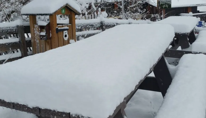 Picnic table