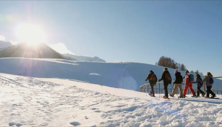 Snowsshoe walking