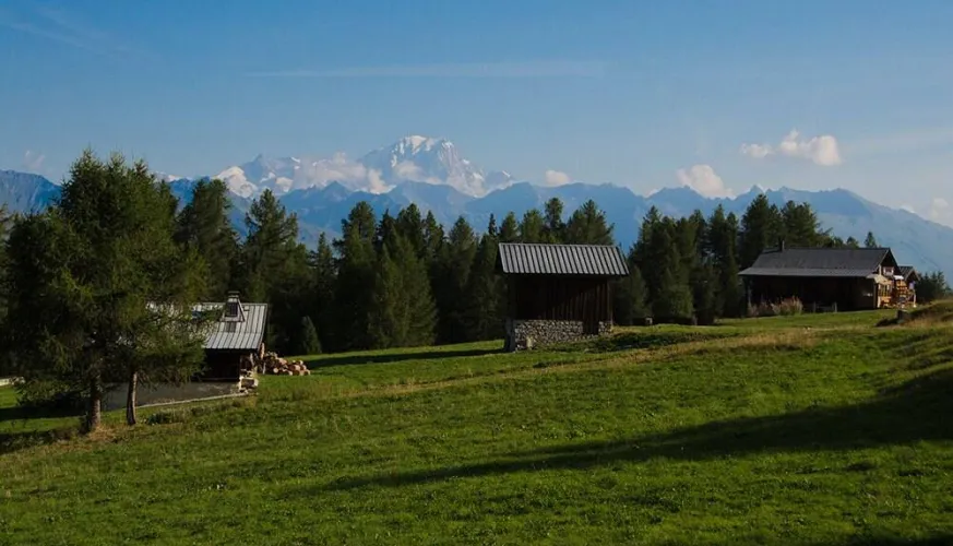 Nature and discovery I The use of mountain plants_Montchavin-les-Coches