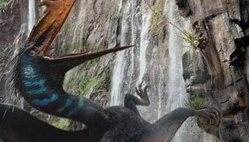 Cinema | Jurassic World: Renaissance_La Plagne