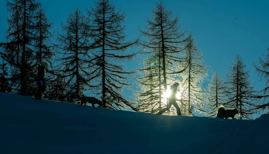 Nordic experience!_Montchavin-les-Coches