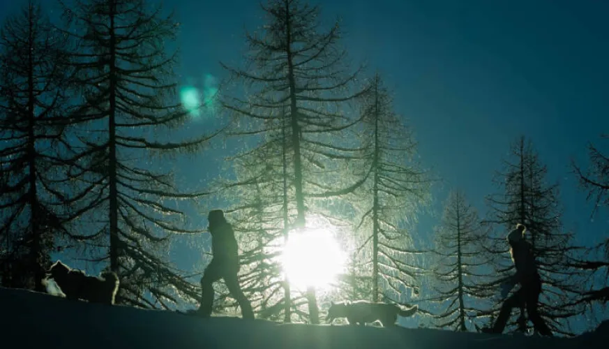 The musher's evening!_Montchavin-les-Coches
